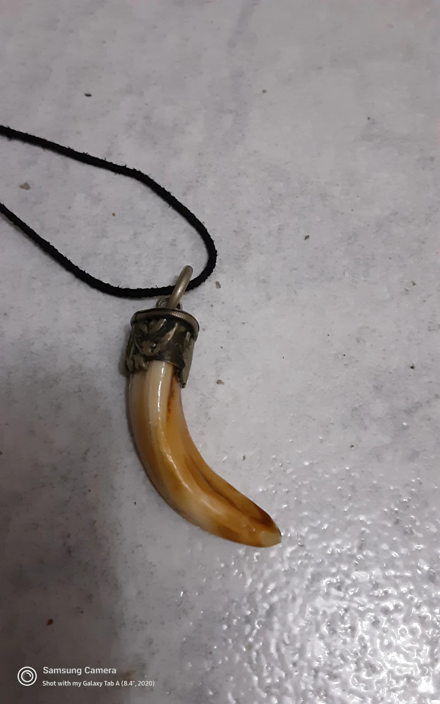 Animal tusk  Pendant Necklace, Silver holder
