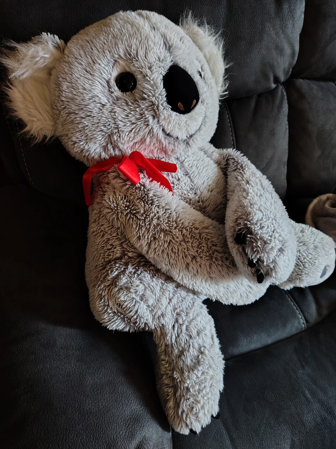 Small Koala - photo 2