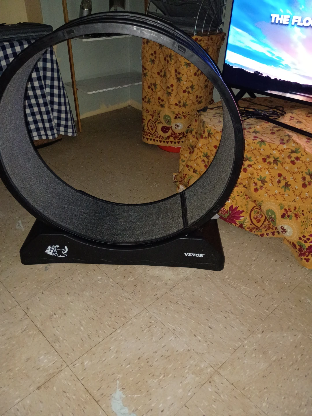 VEVOR Cat Exercise Wheel - Black - photo 3