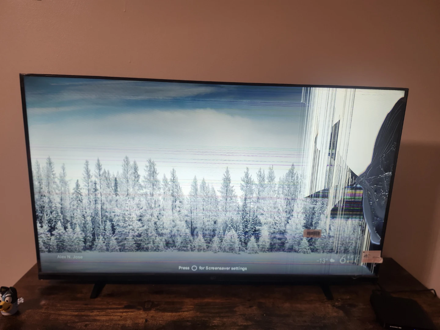 Broken 43" TV Screen - photo 2