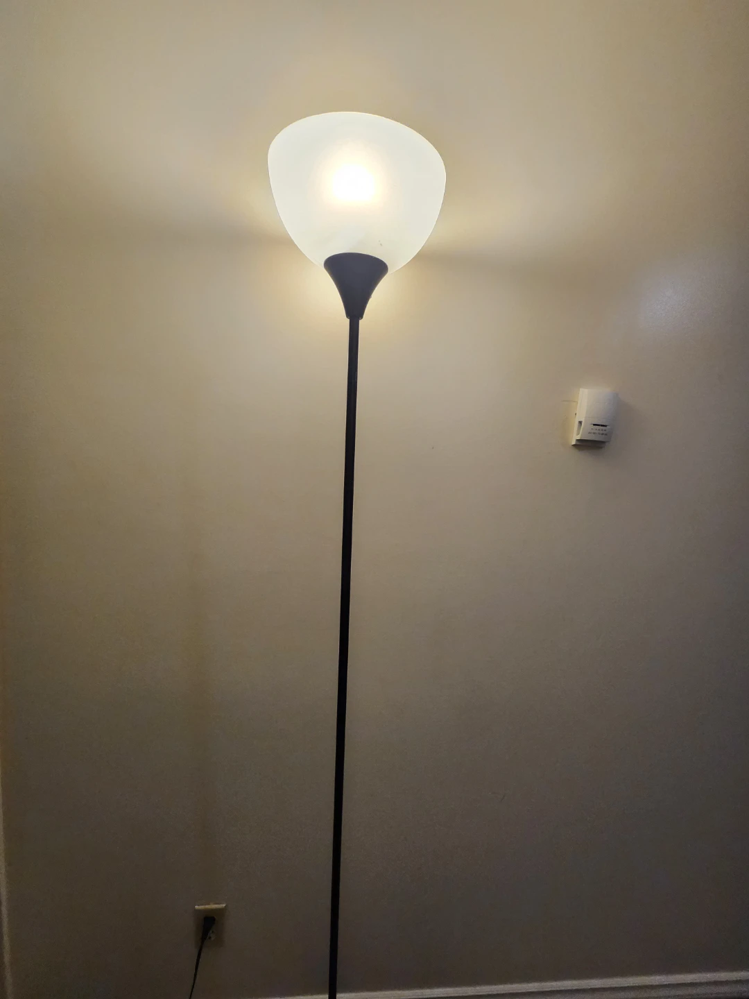 Floor Lamp - photo 2