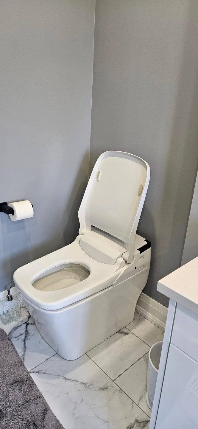 Bathroom Vanity, Shower Fixtures, and Toilet Set - photo 4