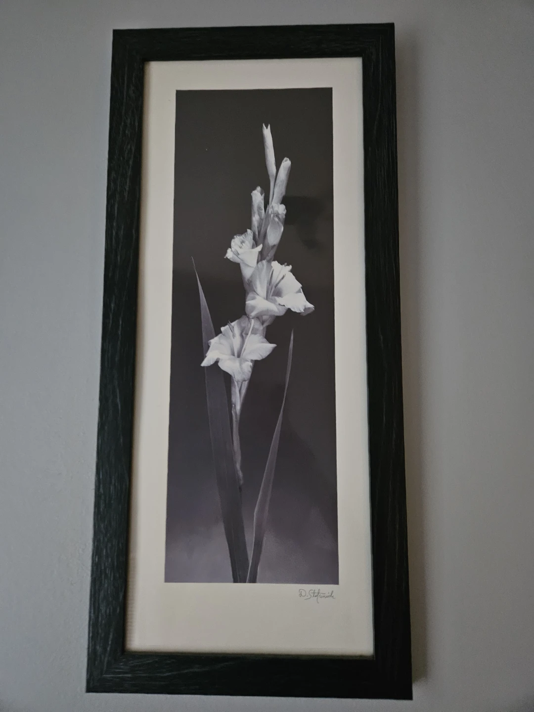 Framed Flower Print- MOVING SALE!