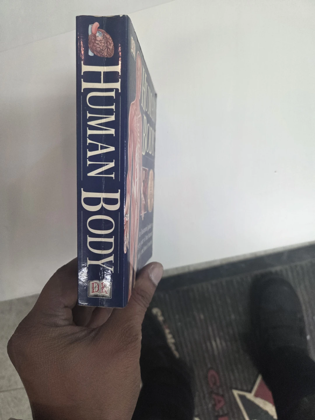Human Body: An Illustrated Guide Book - photo 2