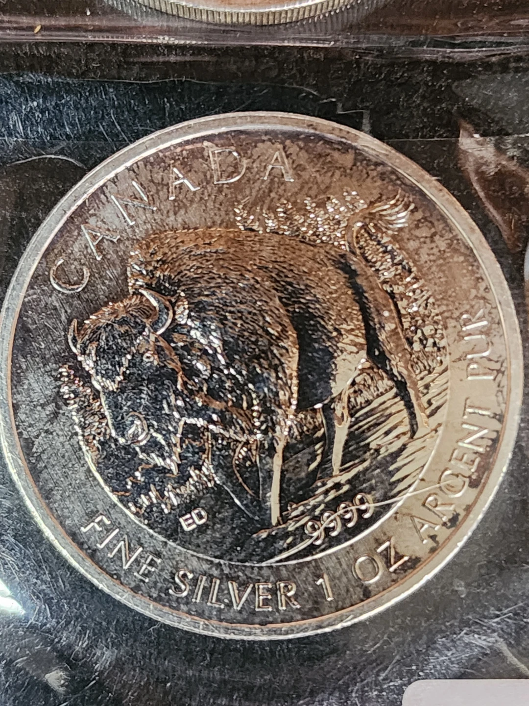 2013 Canadian Silver $5 Coin