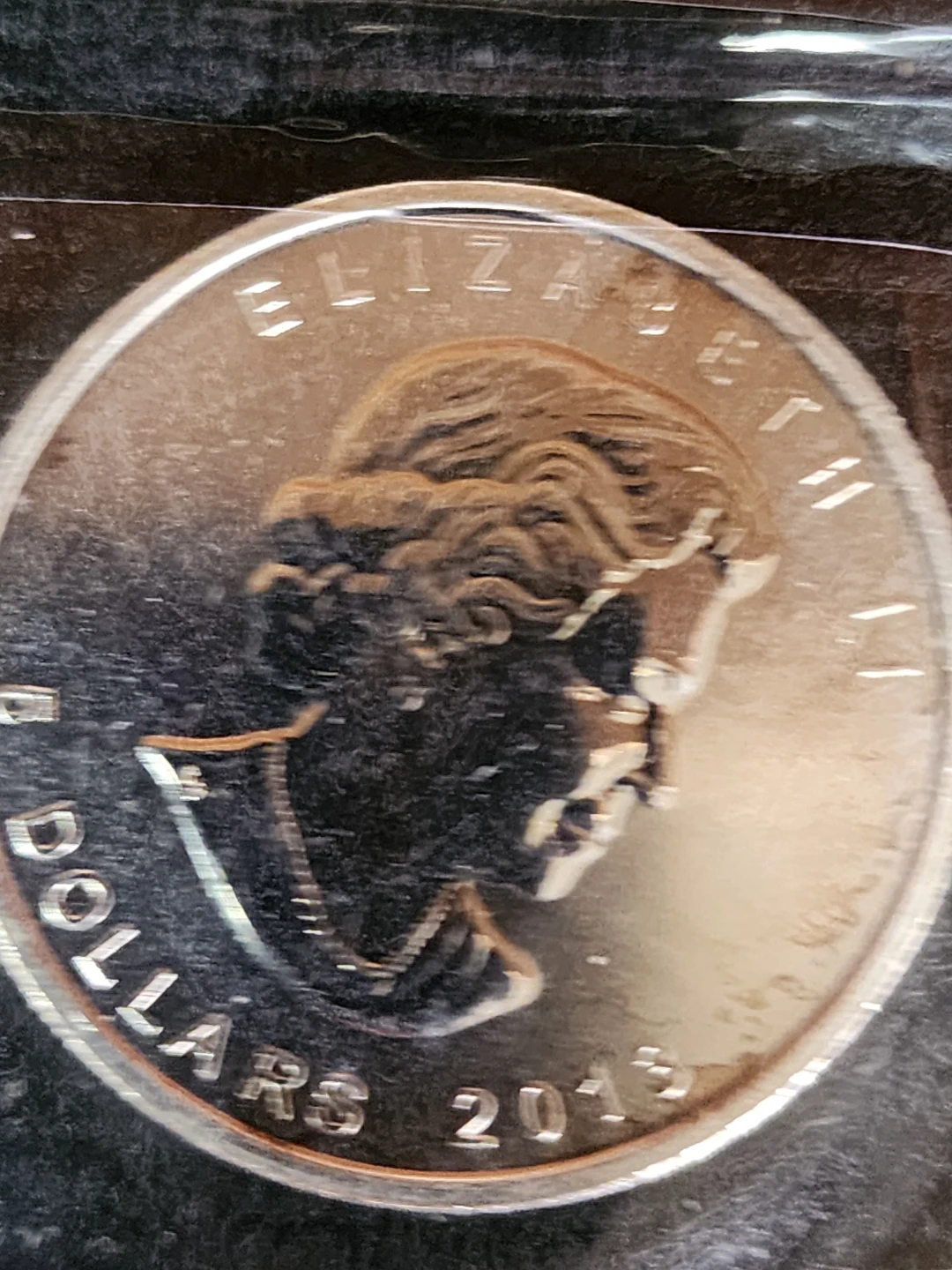 2013 Canadian Silver $5 Coin - photo 2