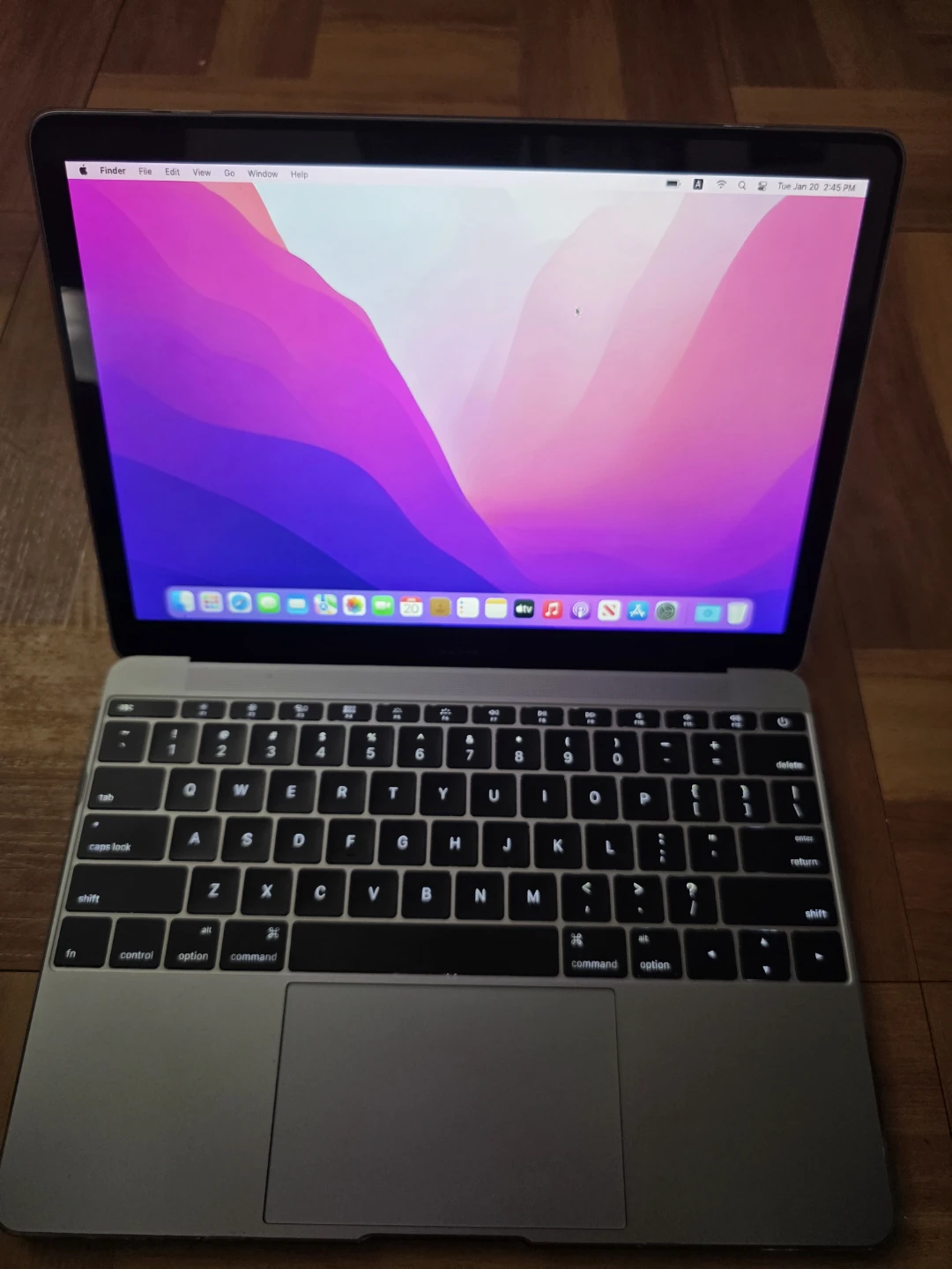 Apple MacBook  12-inch 2016 - photo 3