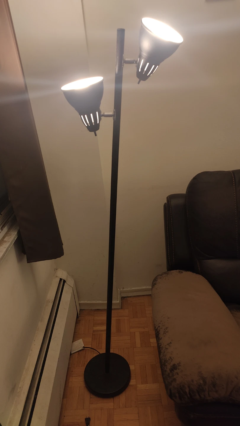 Black Floor Lamp with Adjustable Lights