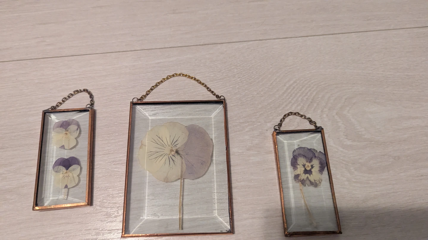 Set of 3 vintage pressed pansy sun catcher art