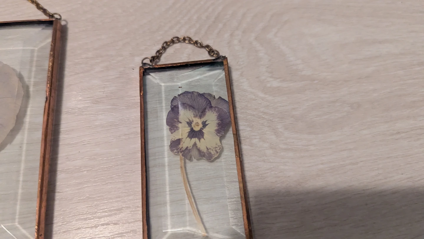 Set of 3 vintage pressed pansy sun catcher art - photo 2