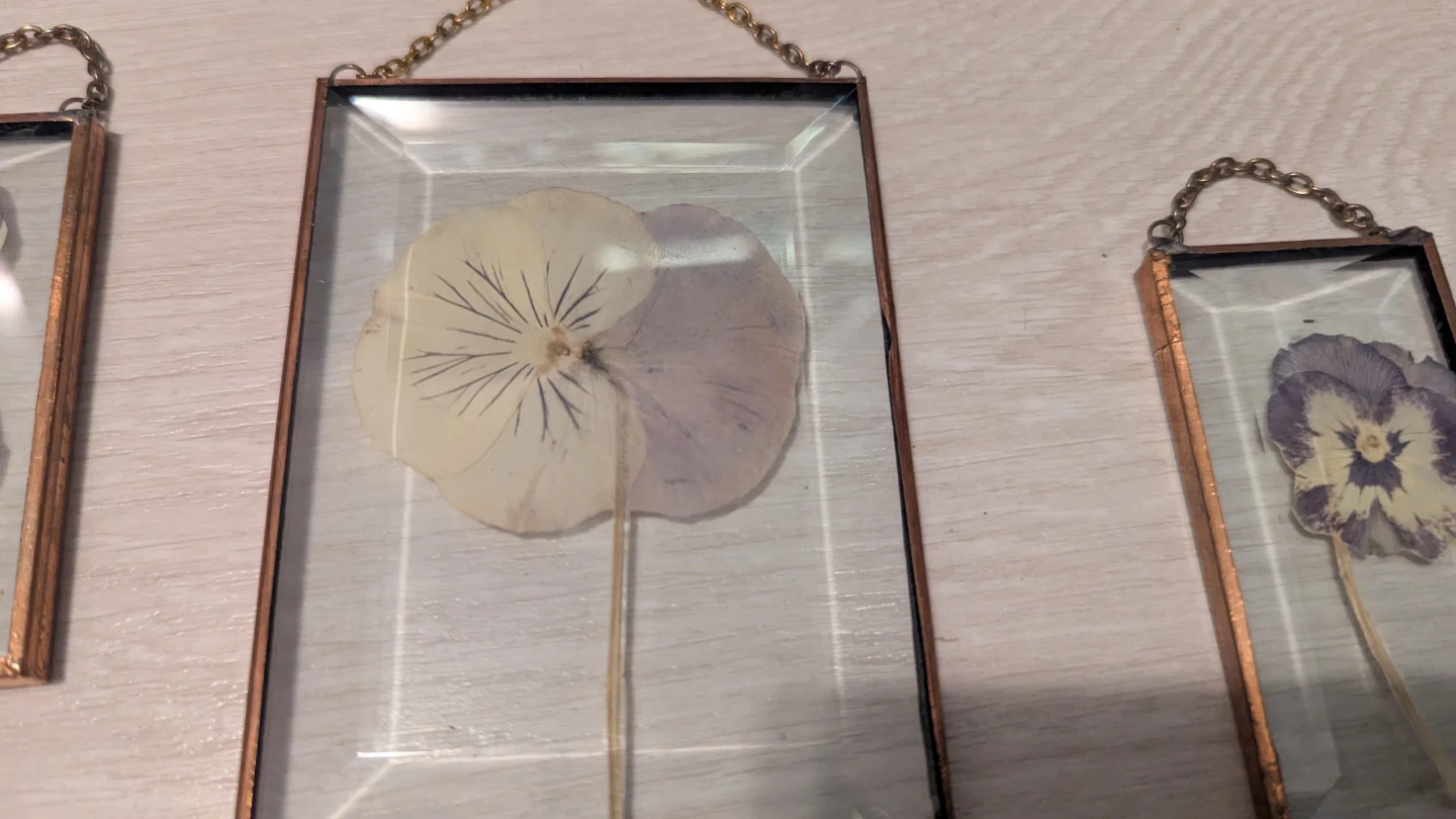 Set of 3 vintage pressed pansy sun catcher art - photo 3