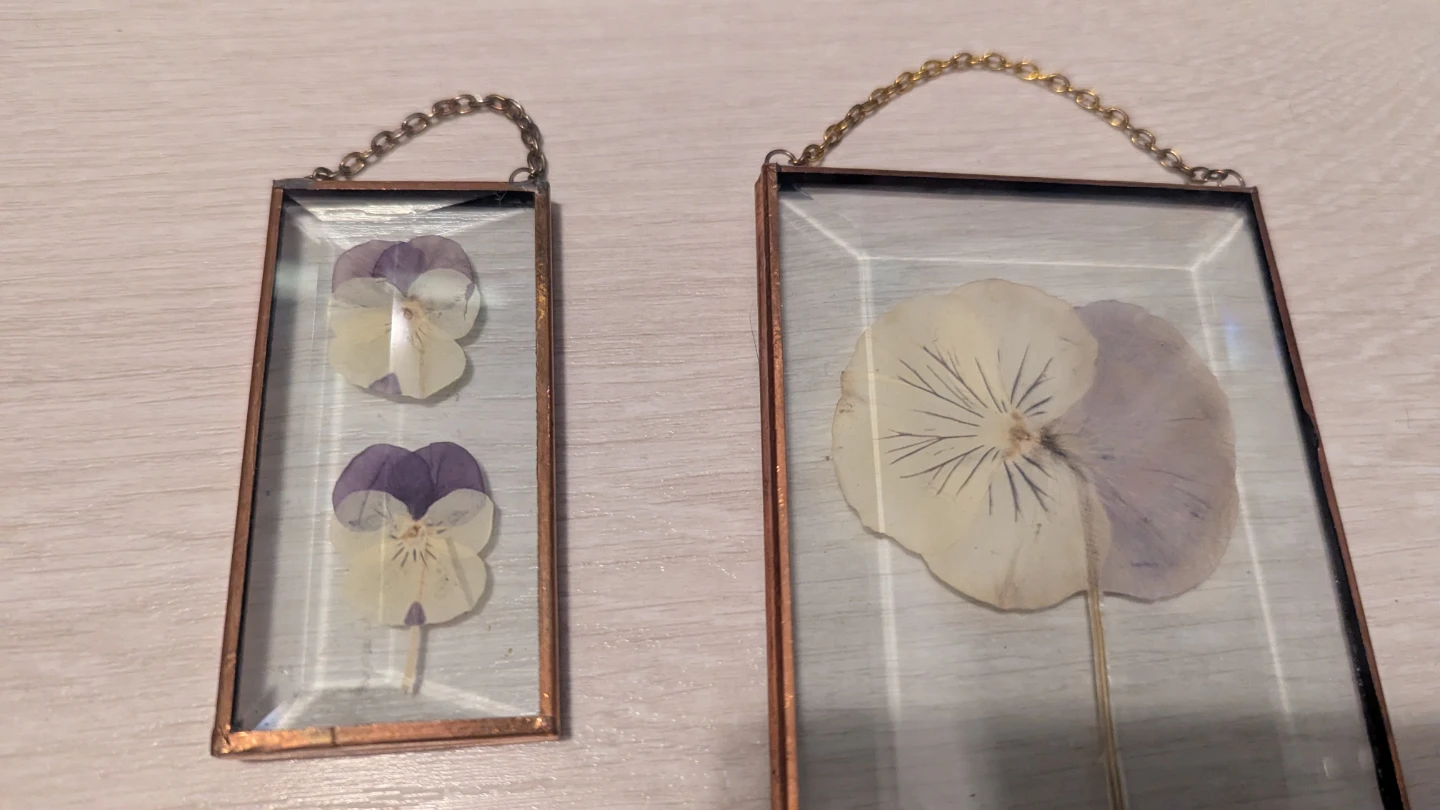 Set of 3 vintage pressed pansy sun catcher art - photo 4