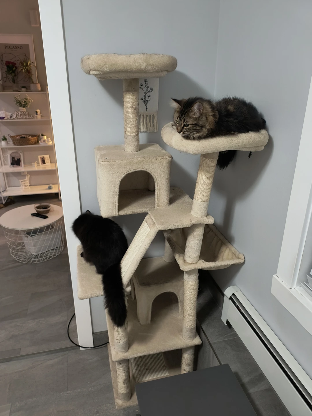 Multi-Level Cat Tree with Condos and Perches - photo 2