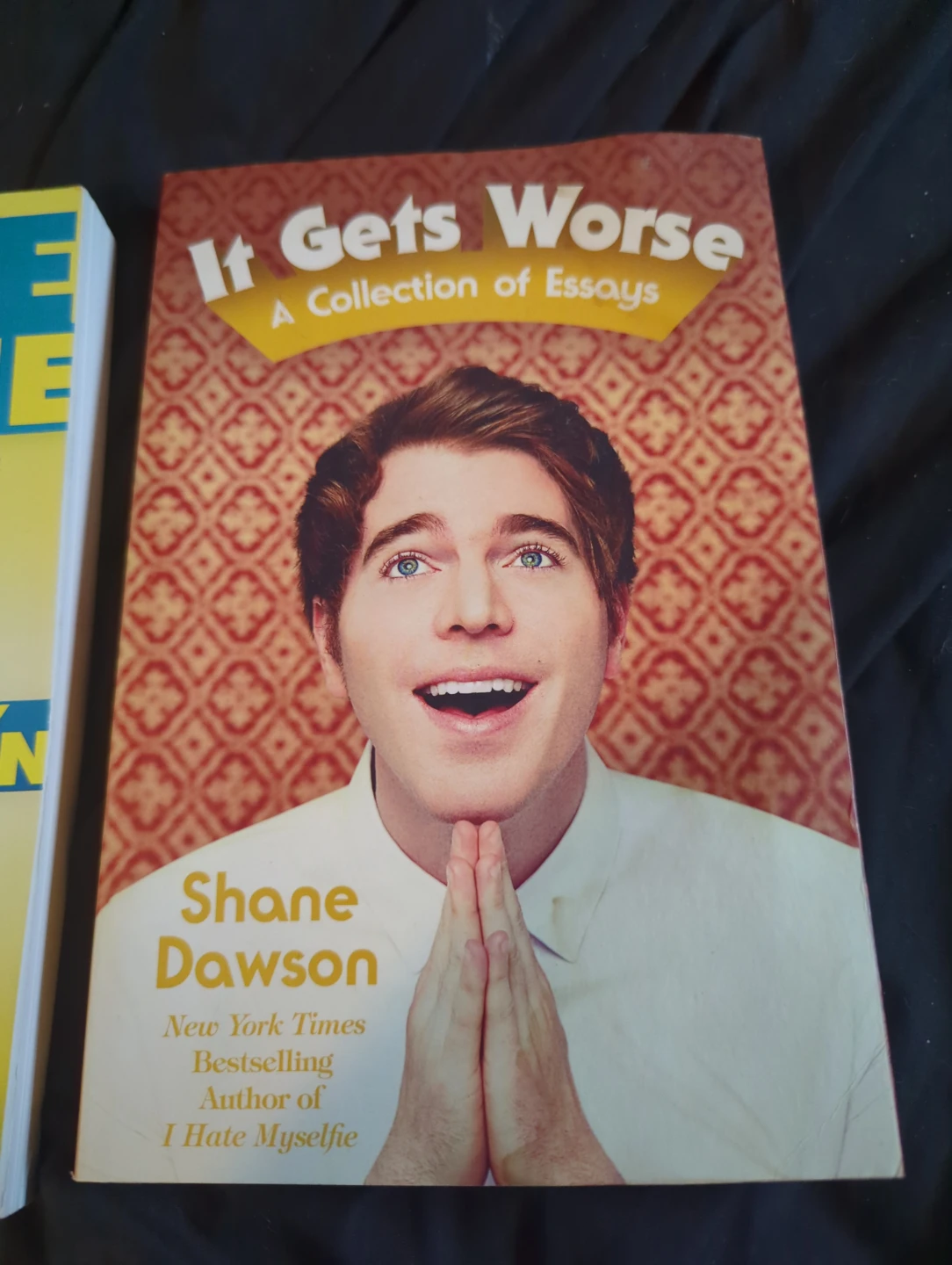 Shane Dawson - It Gets Worse & I Hate Myselfie Books - photo 3