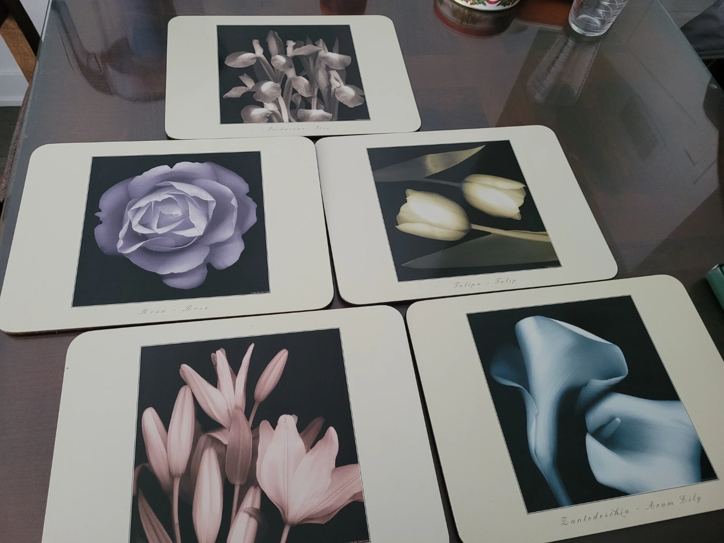 Set of 5 JASON Floral Placemats