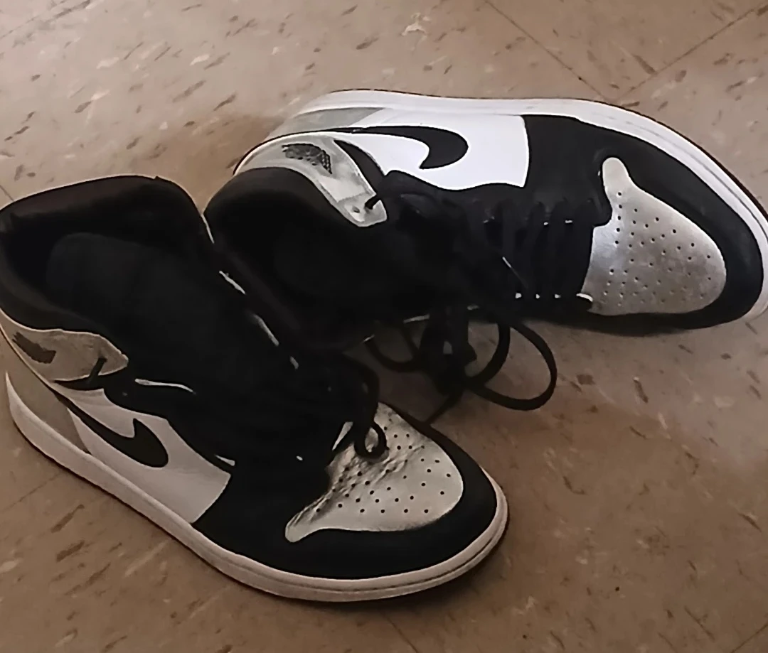 Air Jordan 1 High OG Sneakers