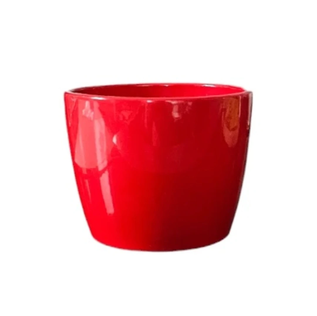 🥕 Red Ceramic Plant or Flower Pot