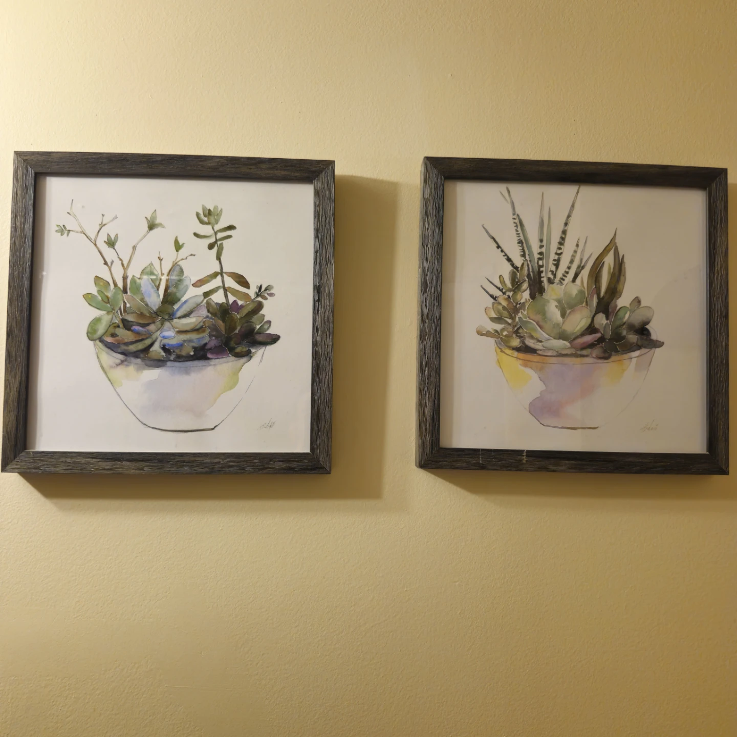 Set of 2 Framed Succulent Art Prints