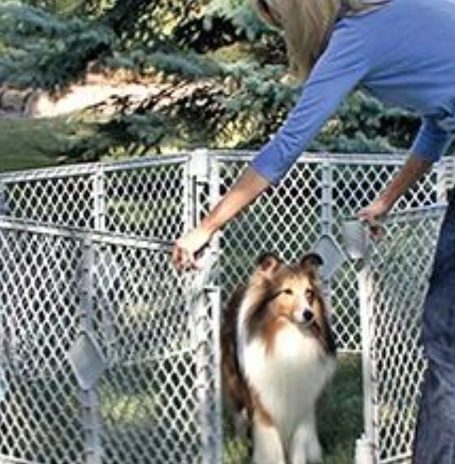 North States Superyard Playard Gates - photo 5
