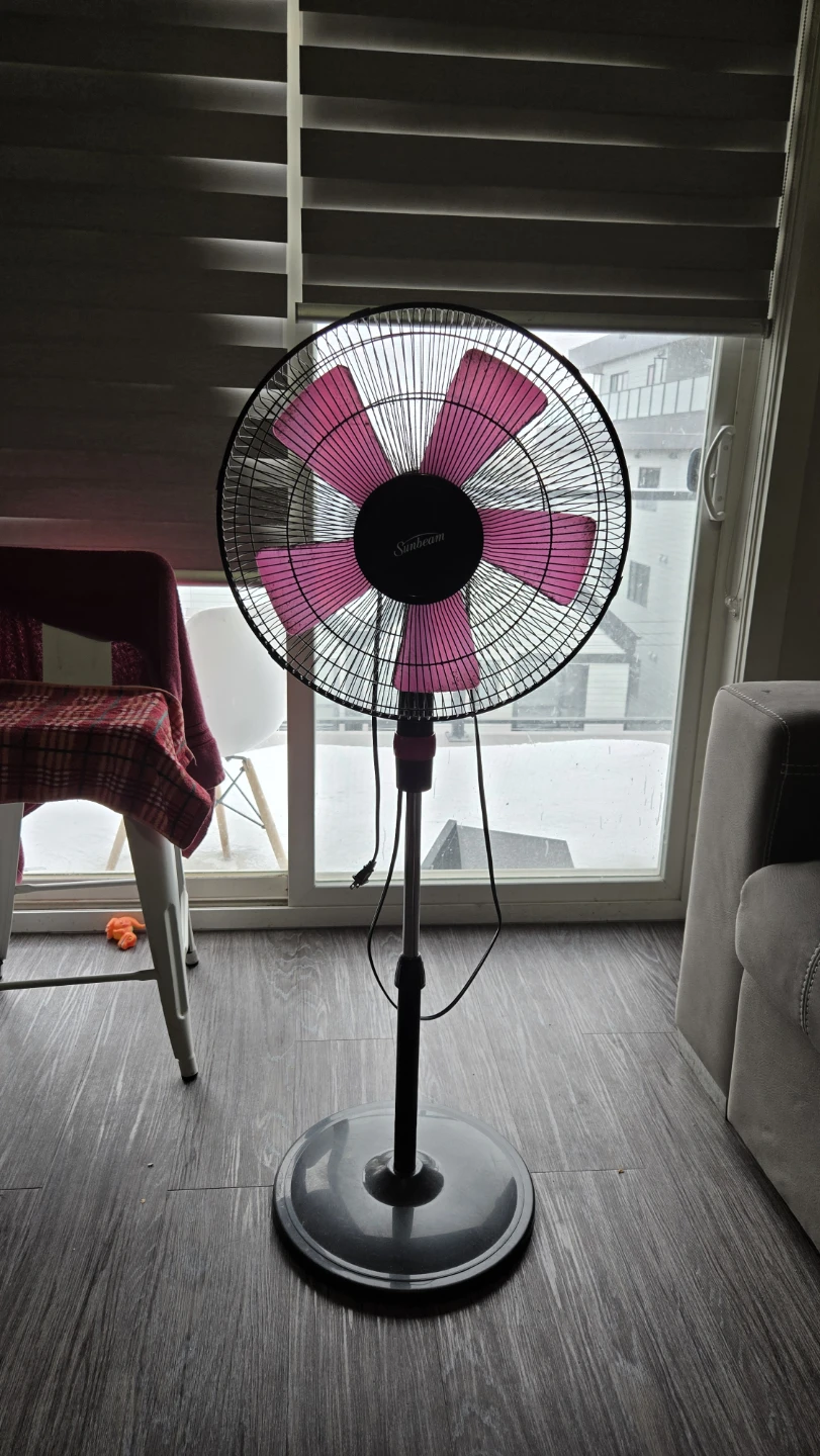 Sunbeam Stand Fan - Pink Accent - photo 2