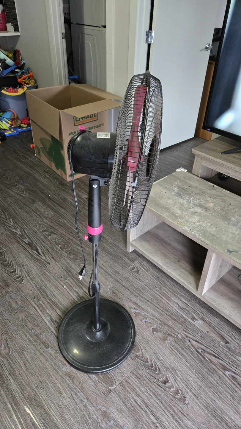 Sunbeam Stand Fan - Pink Accent - photo 4