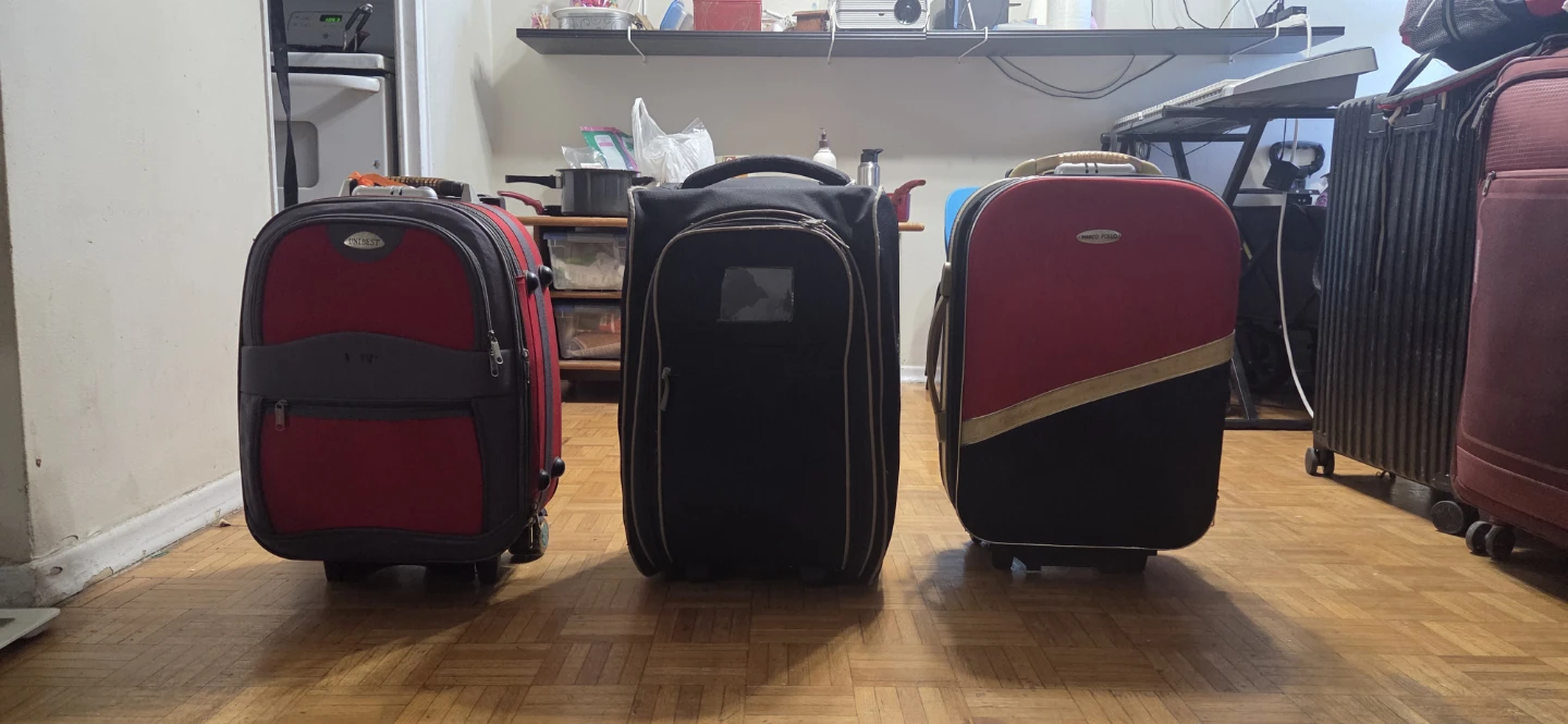 Move Out Sale – 3 Check-in Luggage Suitcases (Rolling)