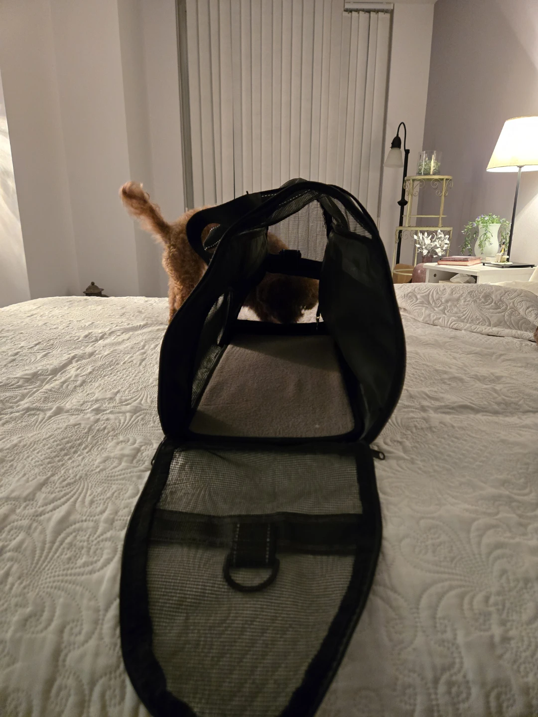 Dogline Pet Carrier - Grey - photo 3