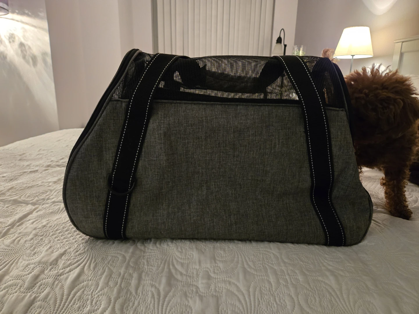 Dogline Pet Carrier - Grey - photo 4
