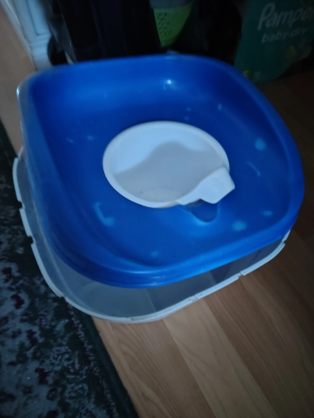 Kids Potty