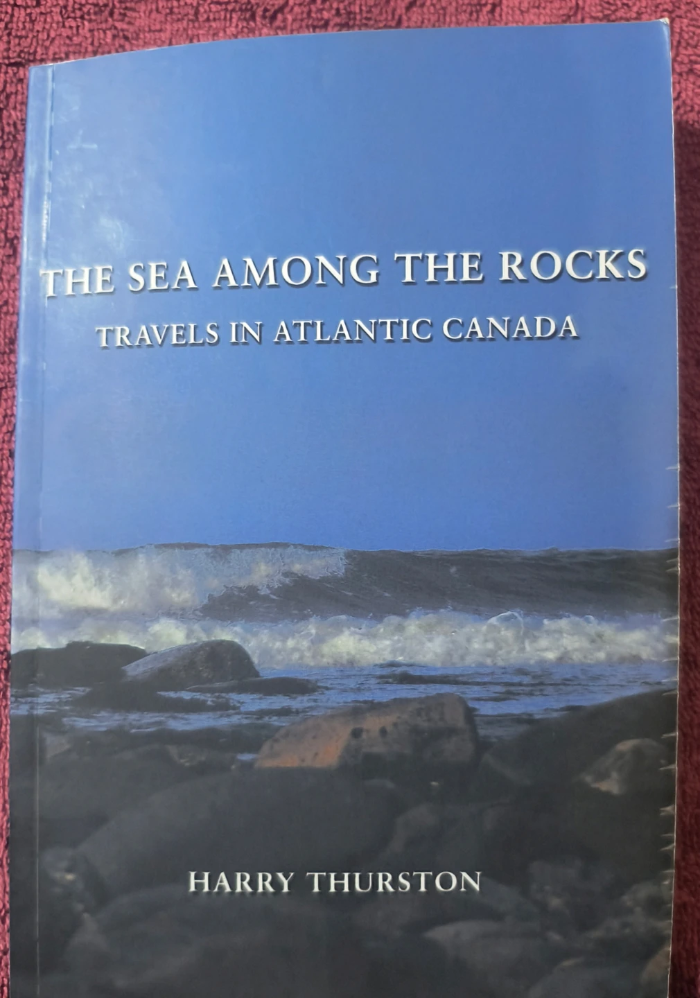 The Sea Among the Rocks by Harry Thurston