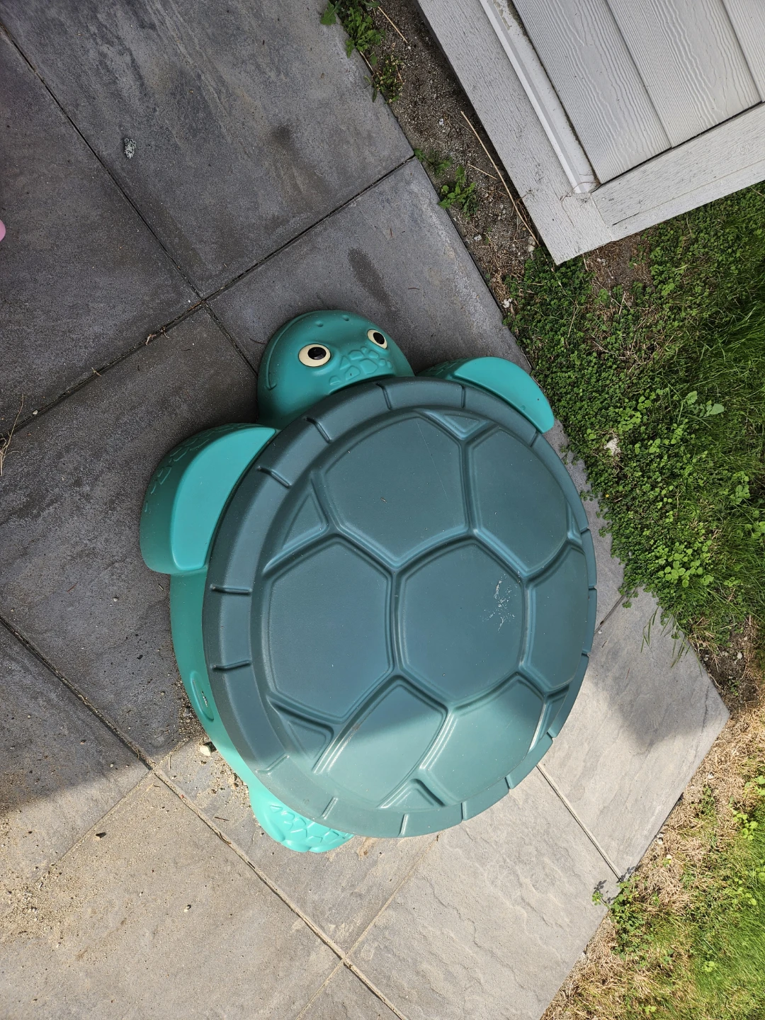Turtle Sandbox - Kids Outdoor Toy - photo 2