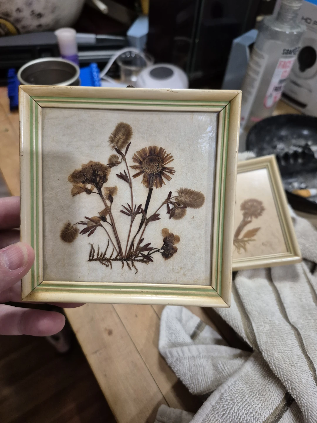 Framed Dried Flowers Art