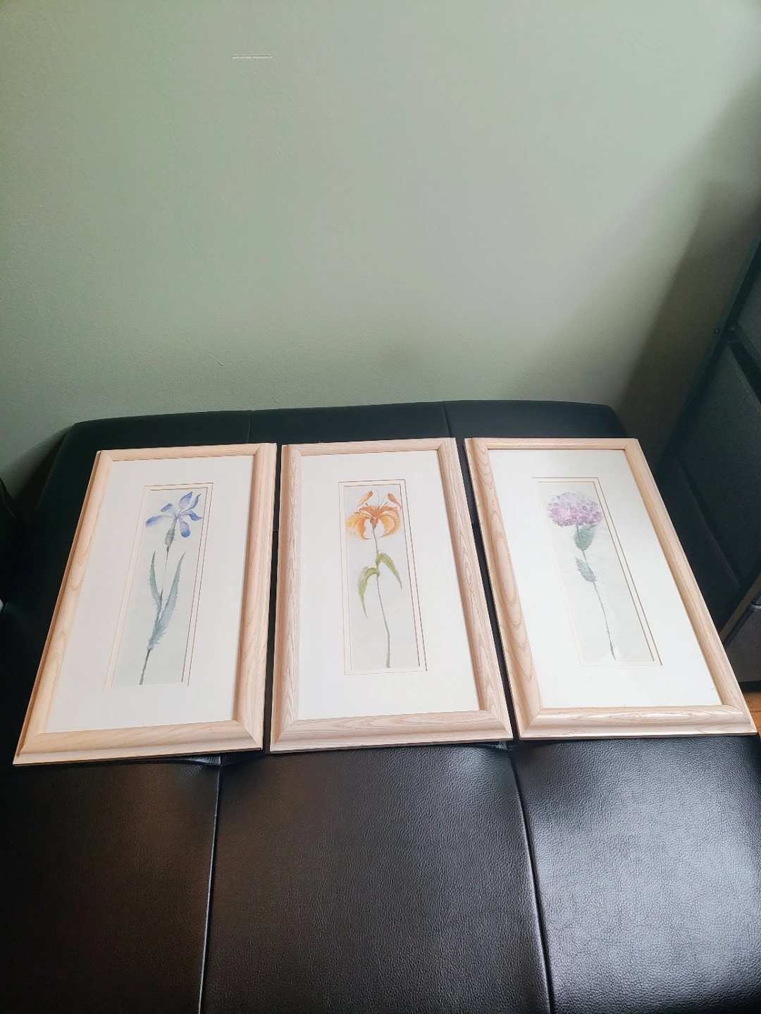 Set of 3 Framed Botanical Floral Prints