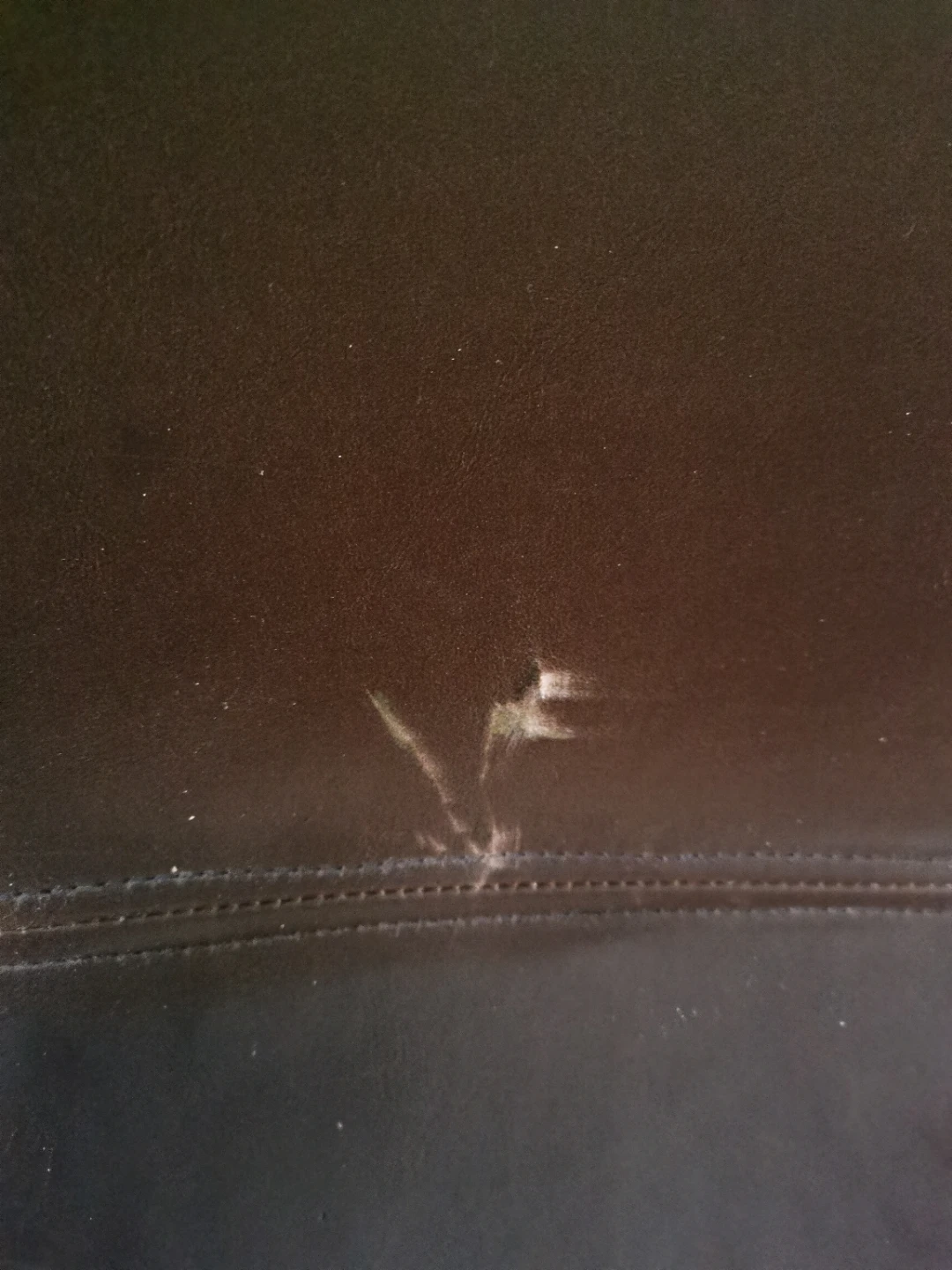 Brown Leather Dining Chair - photo 3