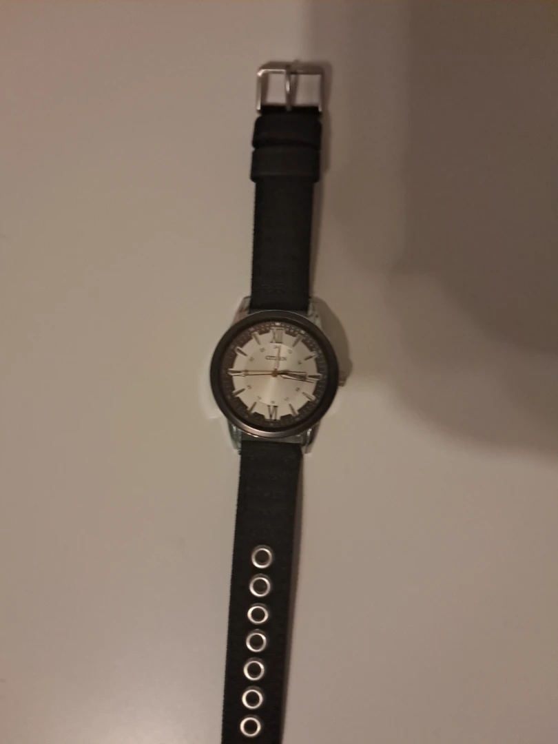 Citizen BF2011-01EC Quartz Day-Date Men's Watch