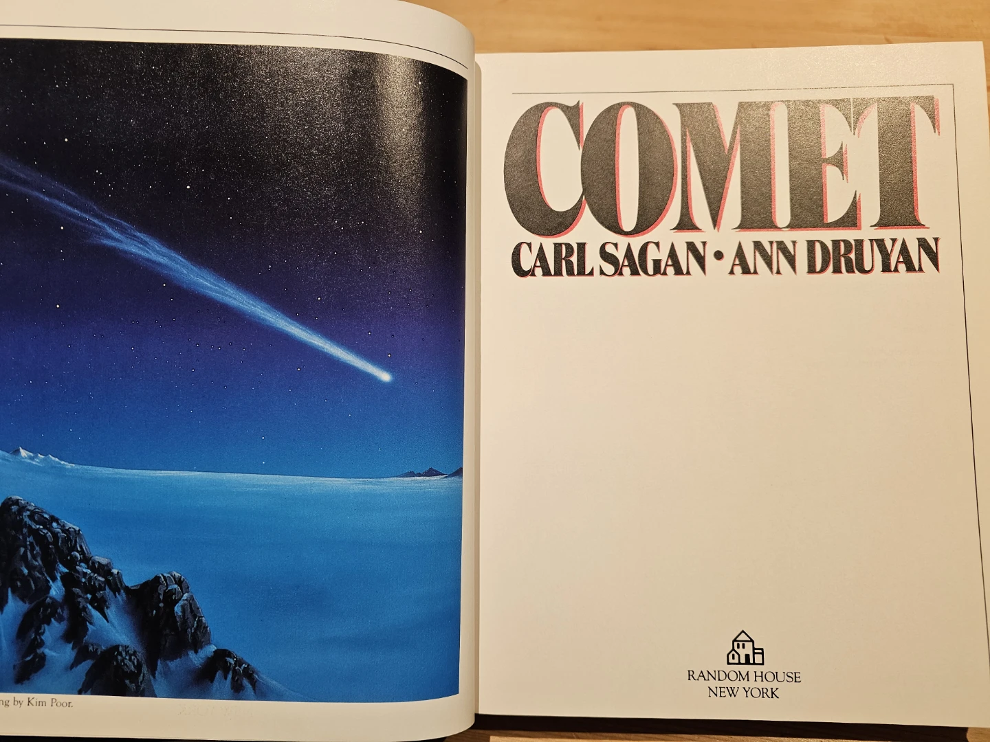 Comet by Carl Sagan and Ann Druyan - First Edition - photo 4