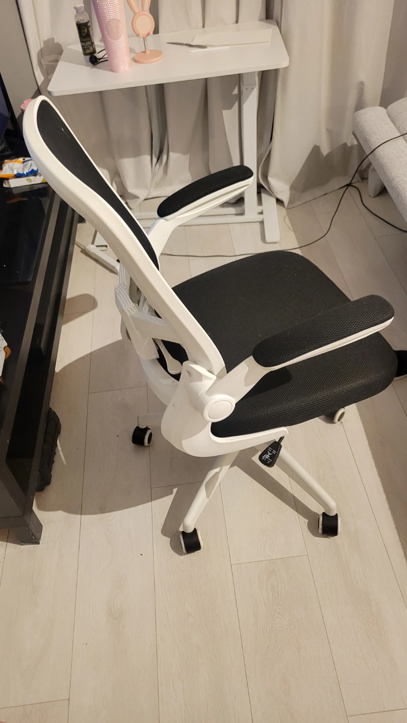 Ergonomic Mesh Office Chair - Black & White - photo 4