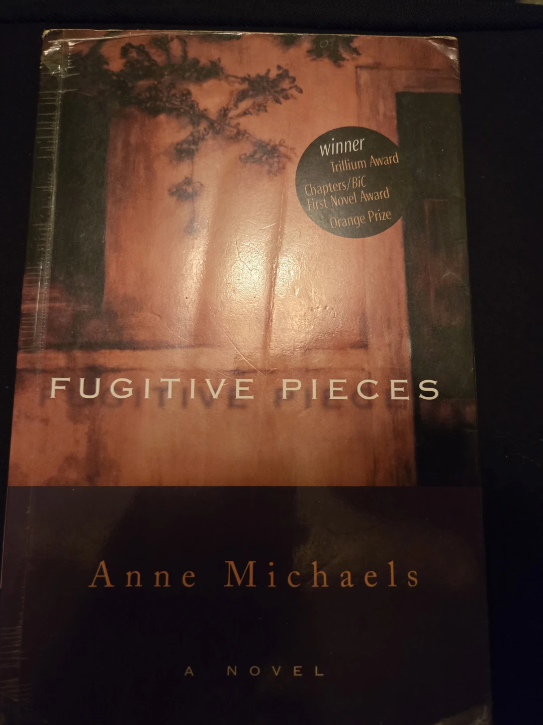 Book: Fugitive Pieces by Anne Michaels Novel