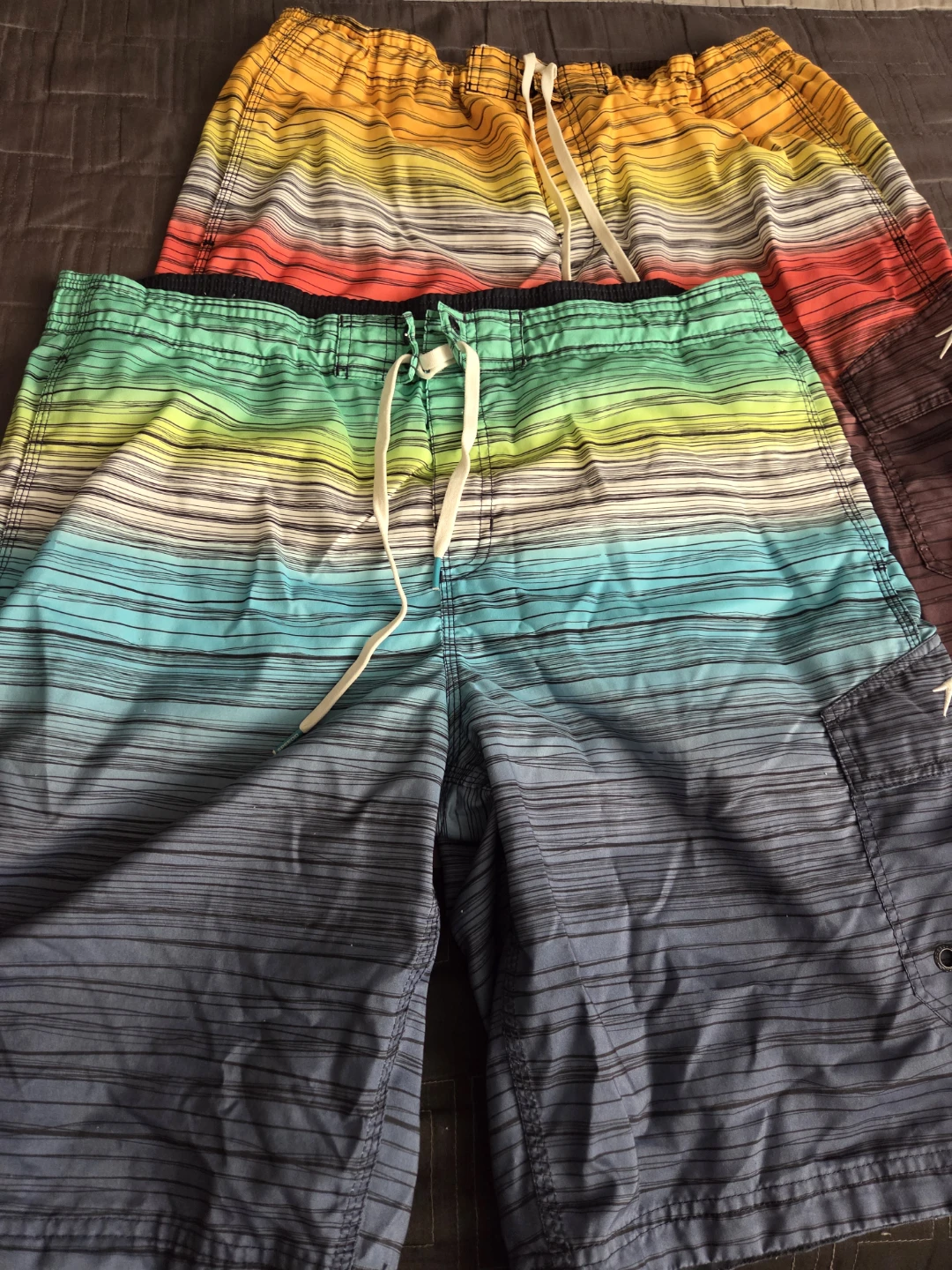 FREE Speedo Men's Striped Swim Trunks (size L)
