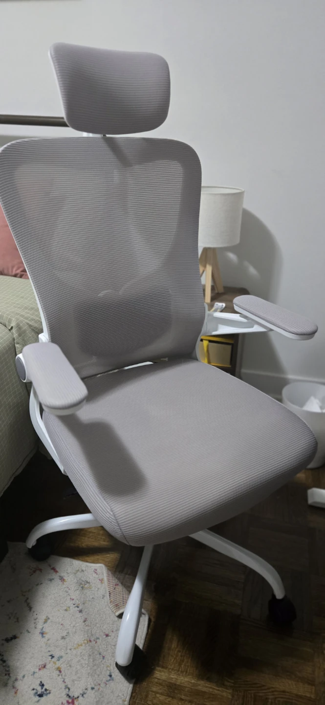 Flexispot OC1 Ergonomic Chair with Headrest - photo 2