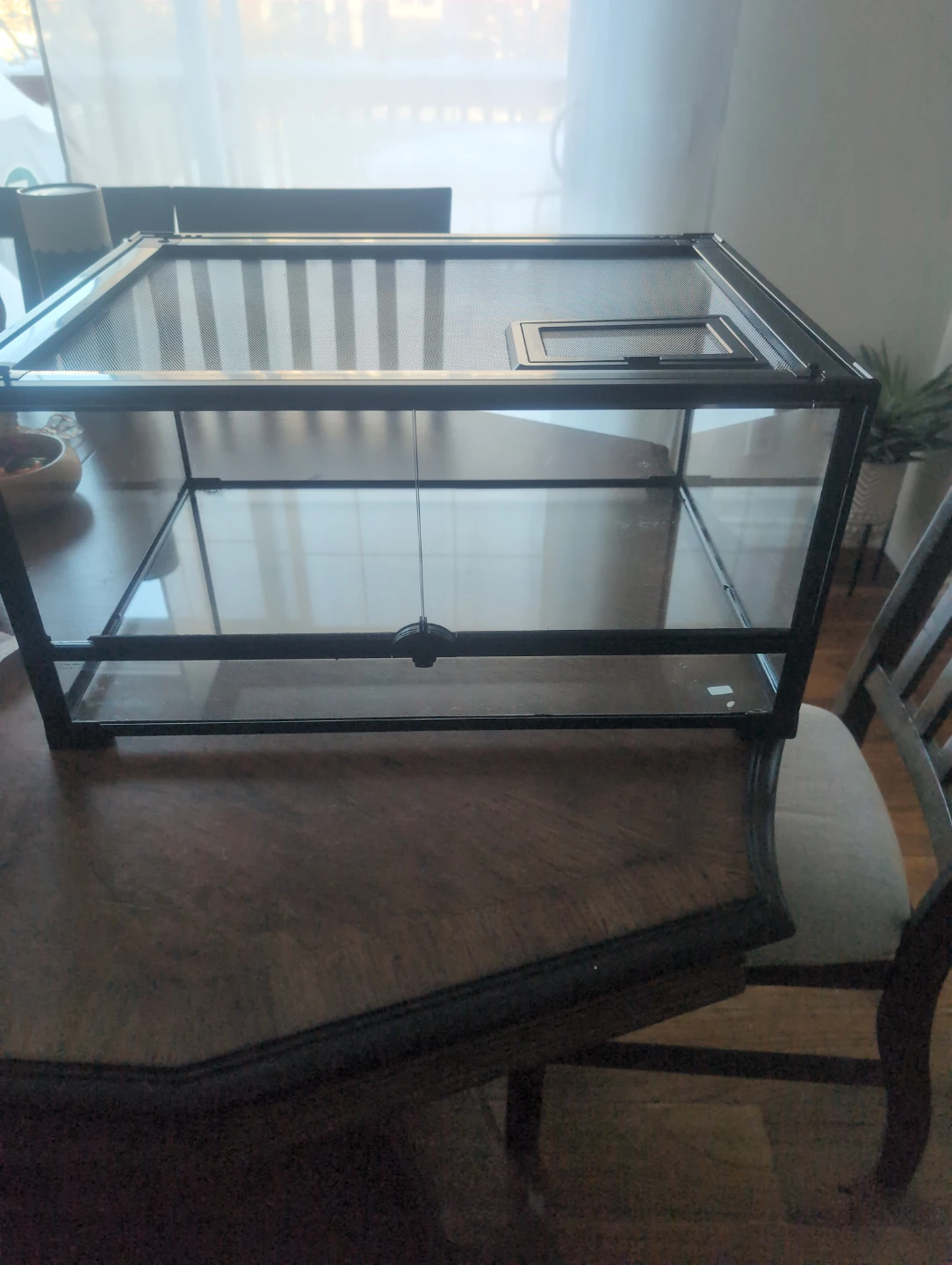 Terrarium - Black Frame