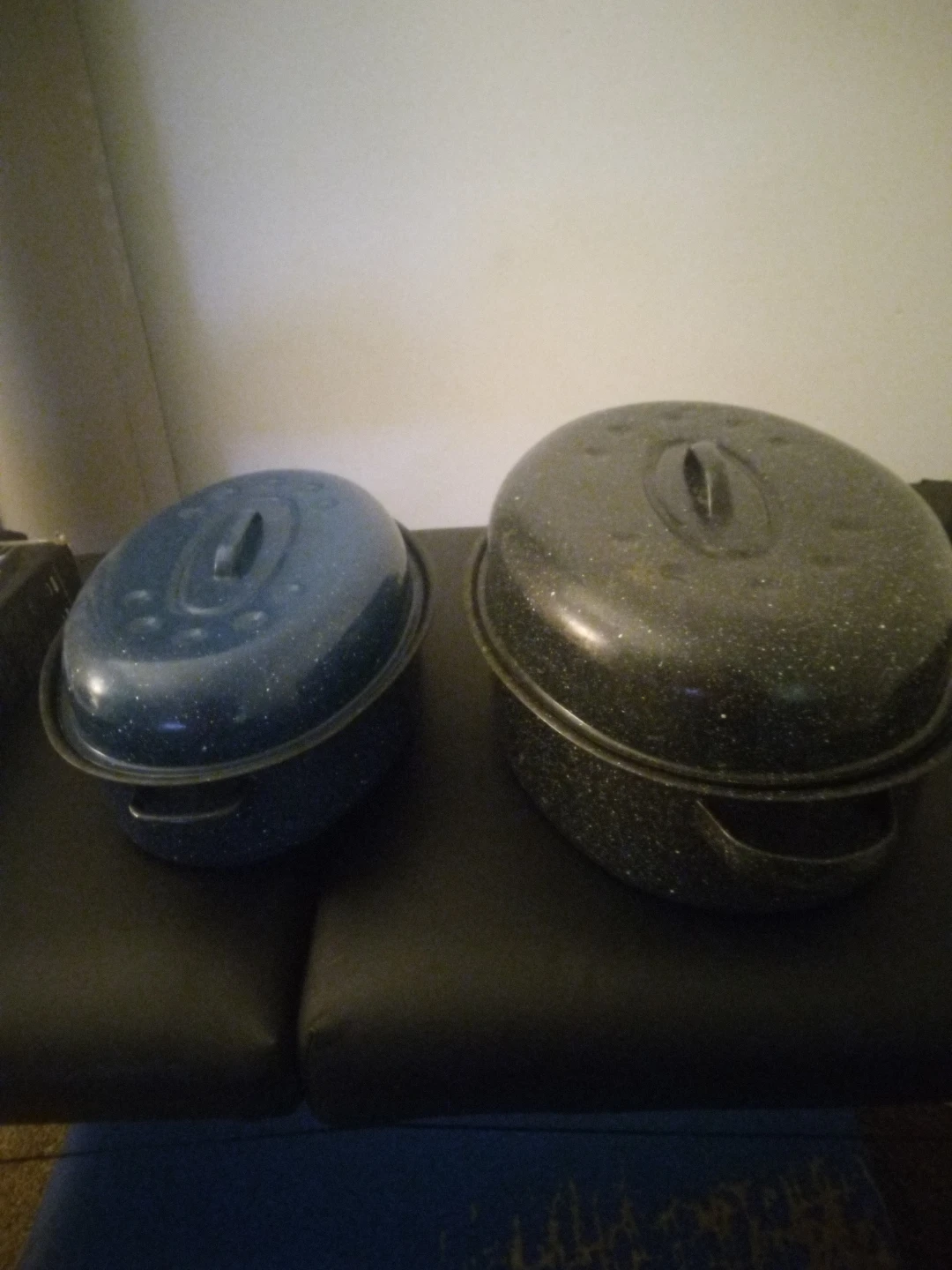 Roasting Pans - Blue and Black