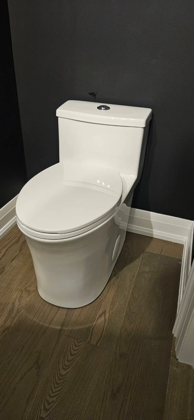 Bathroom Fixtures - Sink, Shower, Toilet - photo 5
