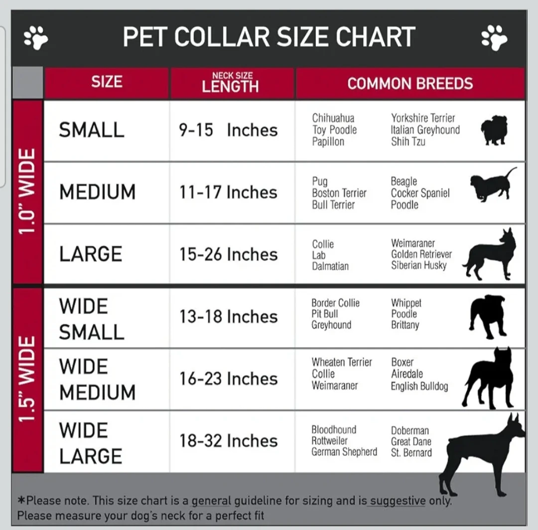 Dog Collar - Marlin Print - Size S - photo 4