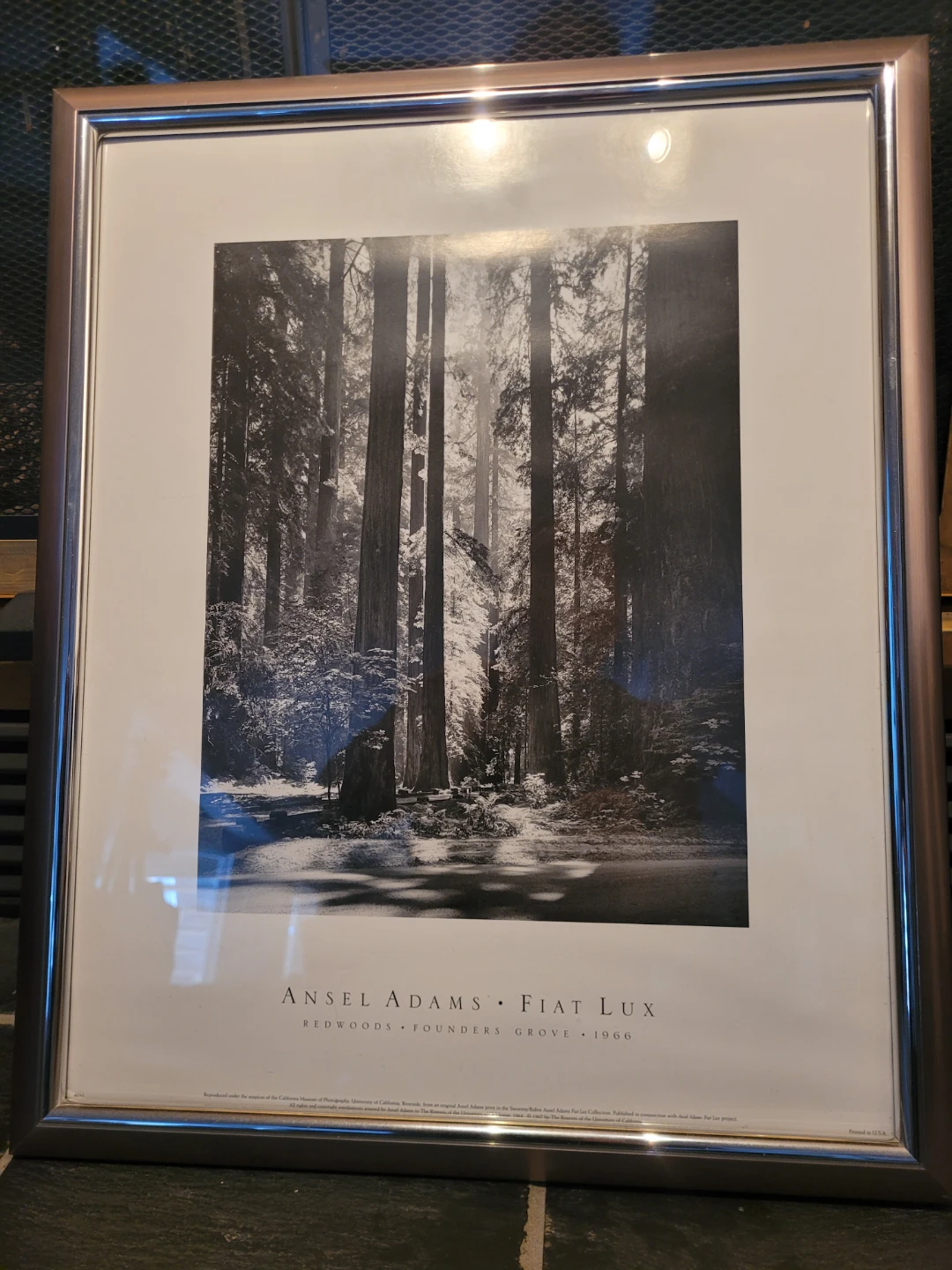 Ansel Adams Fiat Lux Print - Redwoods Founders Grove 1966