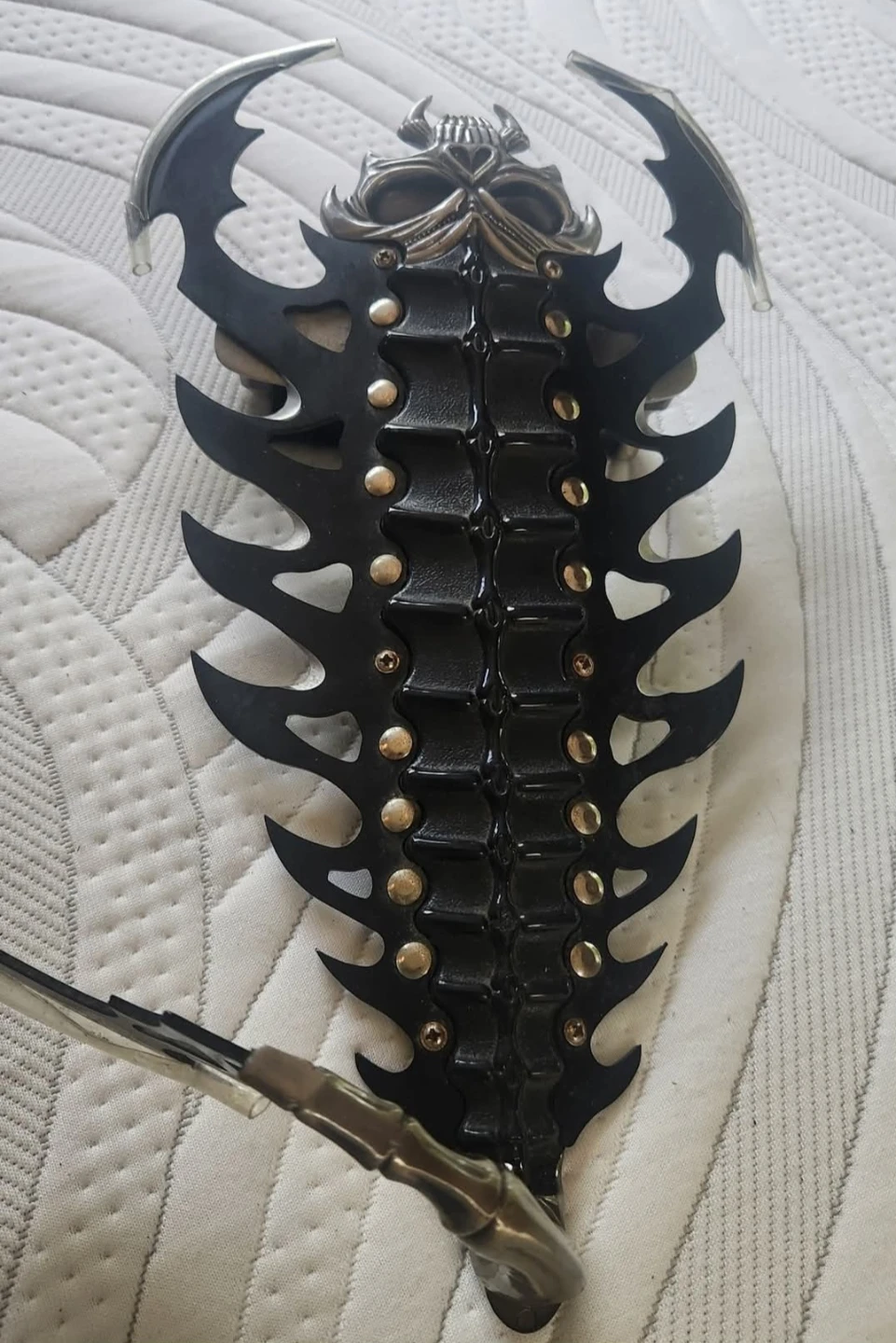 Scorpion shield - photo 4
