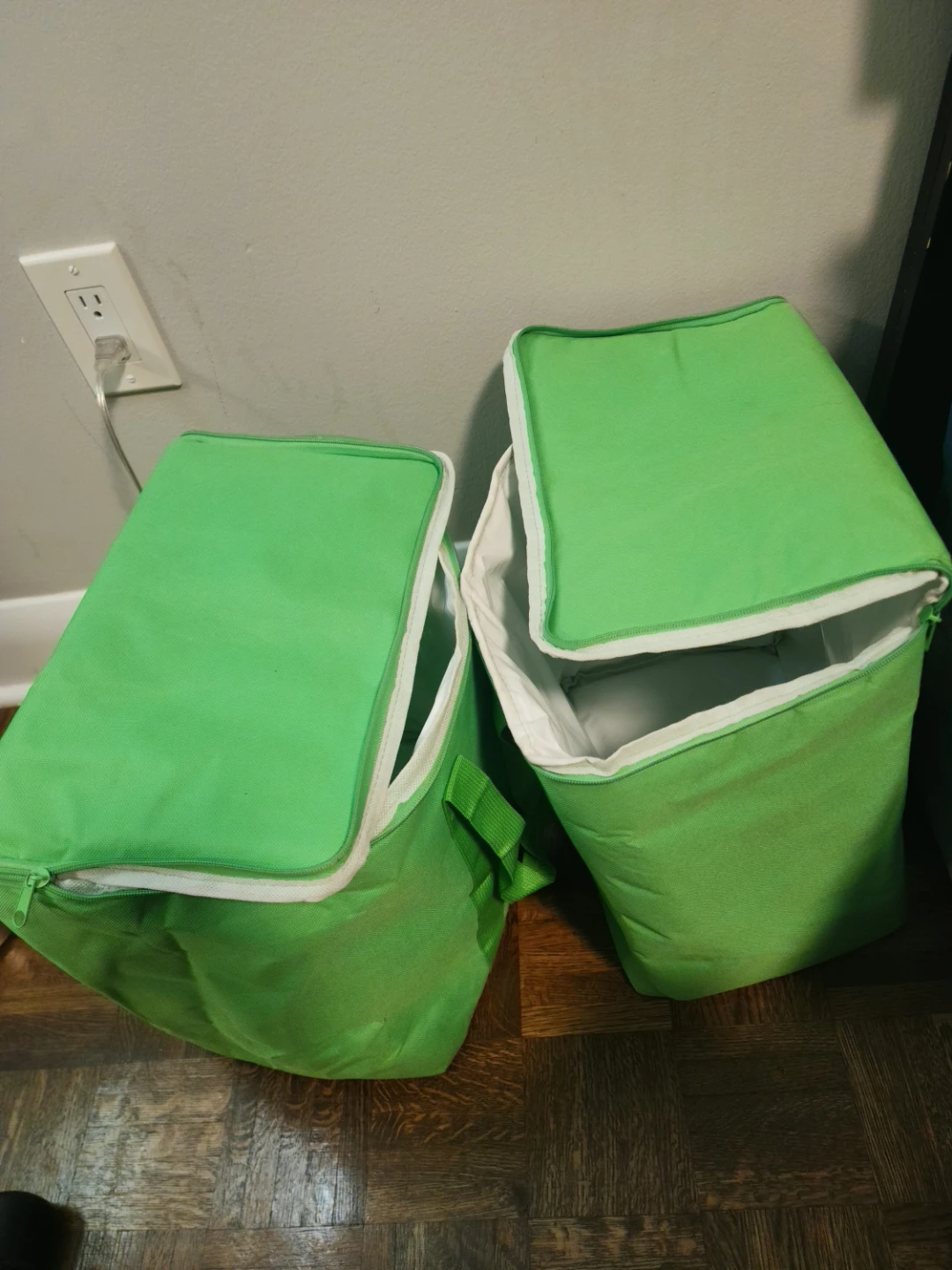 Delivery Bags