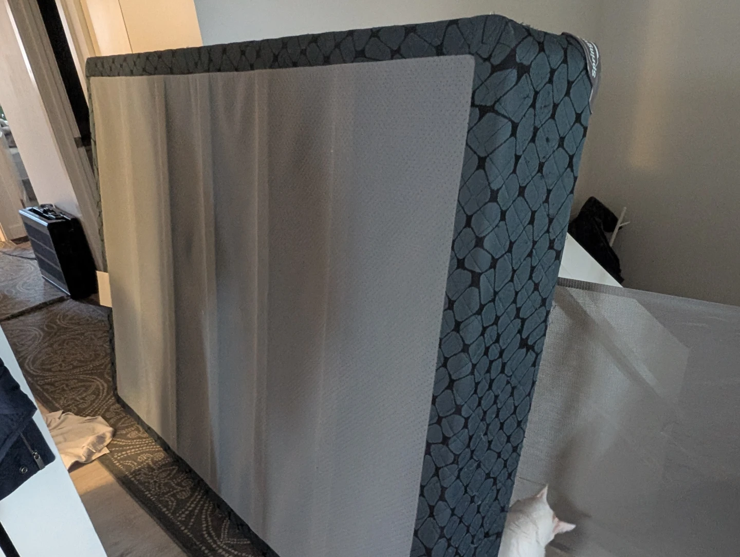 Double Mattress and box spring - photo 5