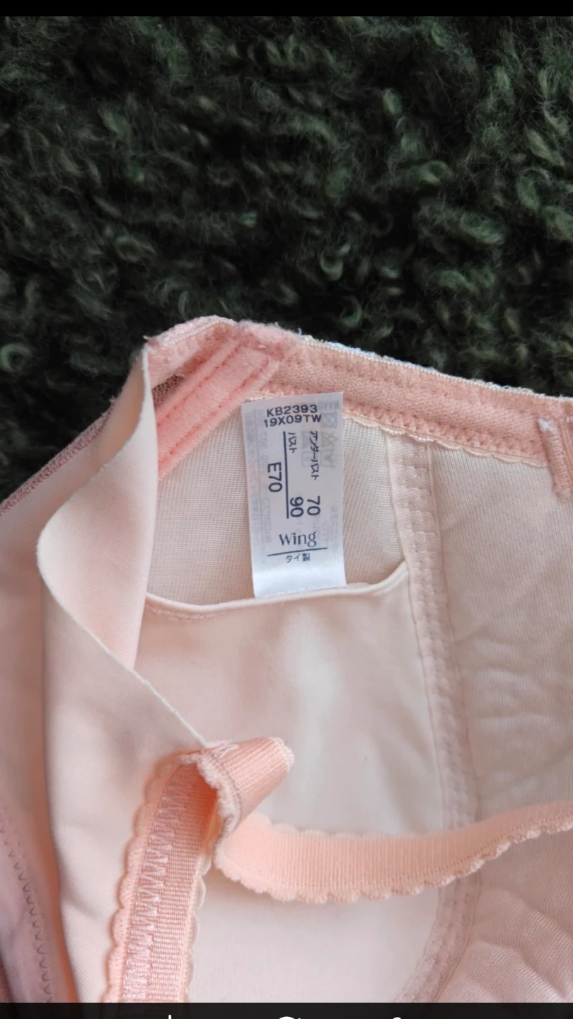 Japanese bra E70 - photo 3