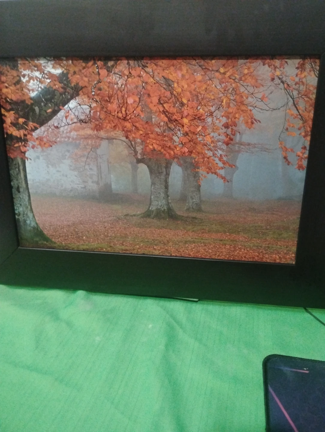 Autumn picture